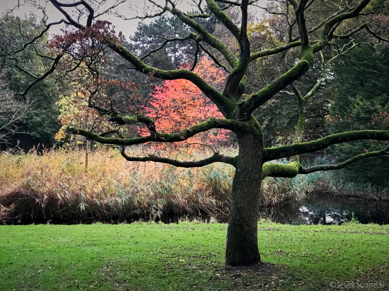 Beatrixpark Amsterdam