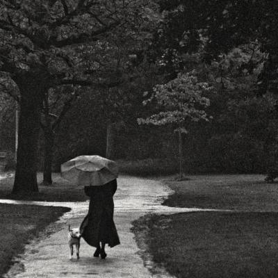 Rainy day in the Vondelpark