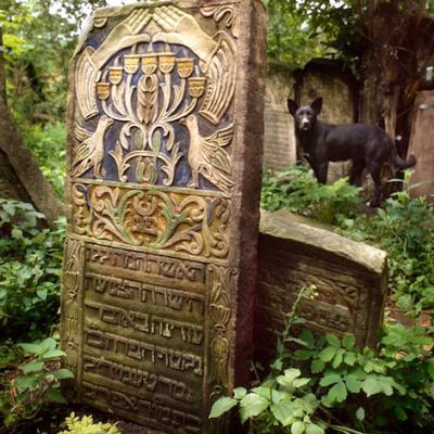 Jewish cemetary Suceava (Romania)