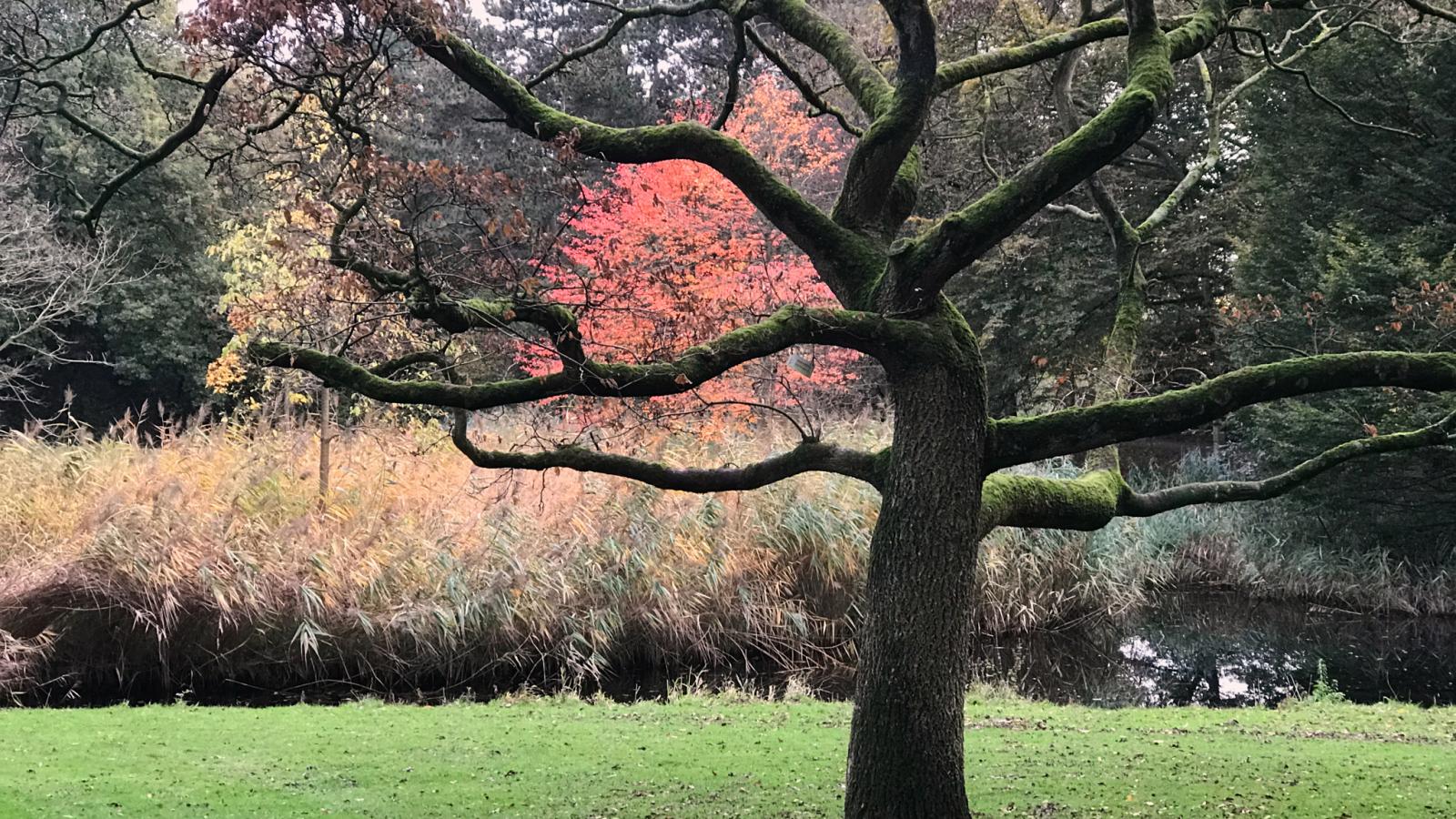 "Colour, less colour ..." in Beatrixpark