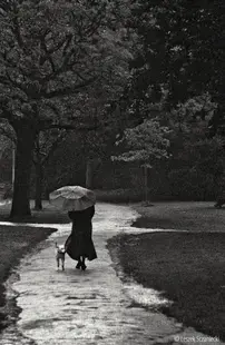 Rainy day in the Vondelpark, Amsterdam