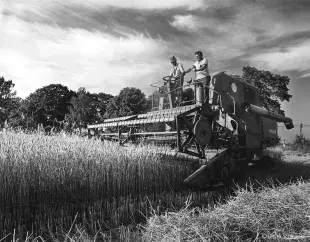 Combine driving