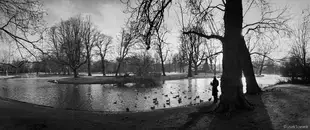Feeding birds in Vondelpark, Amsterdam