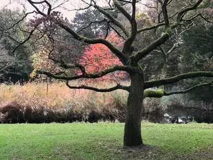 "Colour, less colour ..." in Beatrixpark