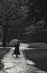 Rainy day in the Vondelpark