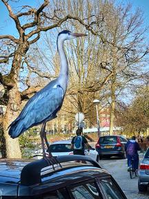 The heron at the Amstelkade