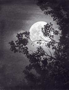 Full Moon in Beatrixpark